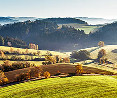 Excursion tips Black Forest and Switzerland