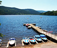 Group excursions to the Black Forest and Switzerland