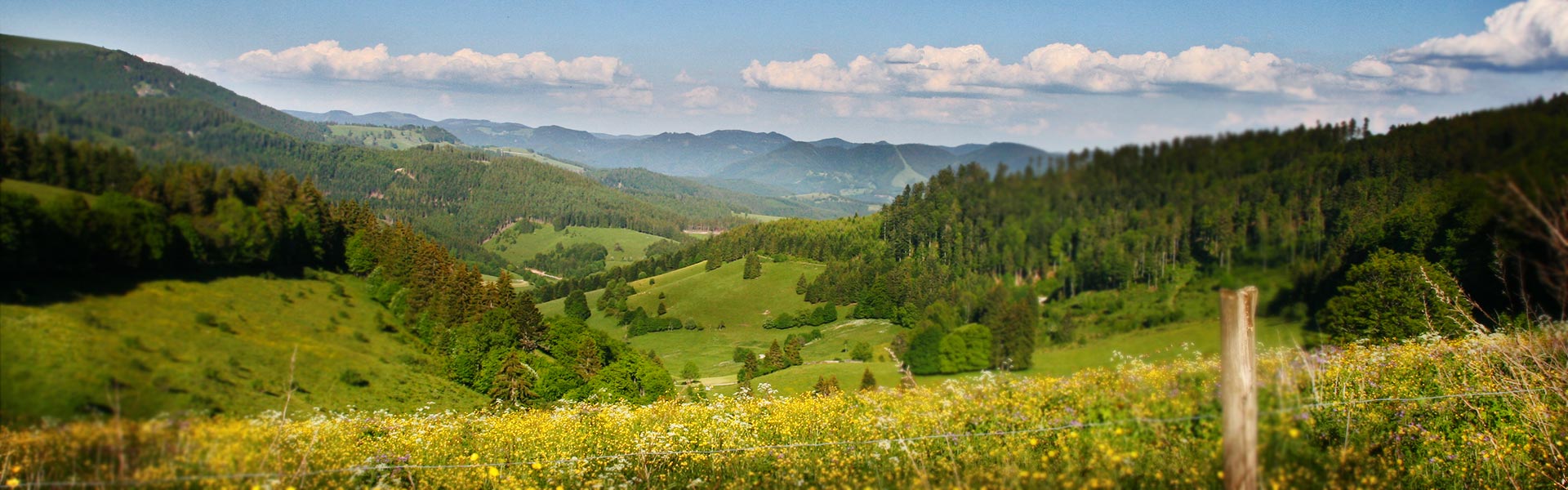 Landgasthof-Hotel Rebstock Freizeitangebote