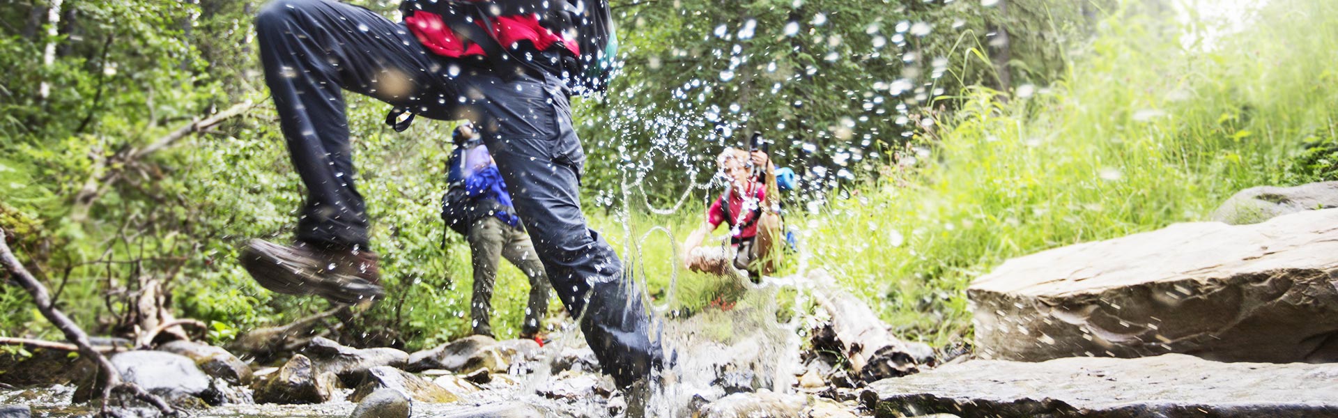 Landgasthof-Hotel Rebstock Wandern & Biken